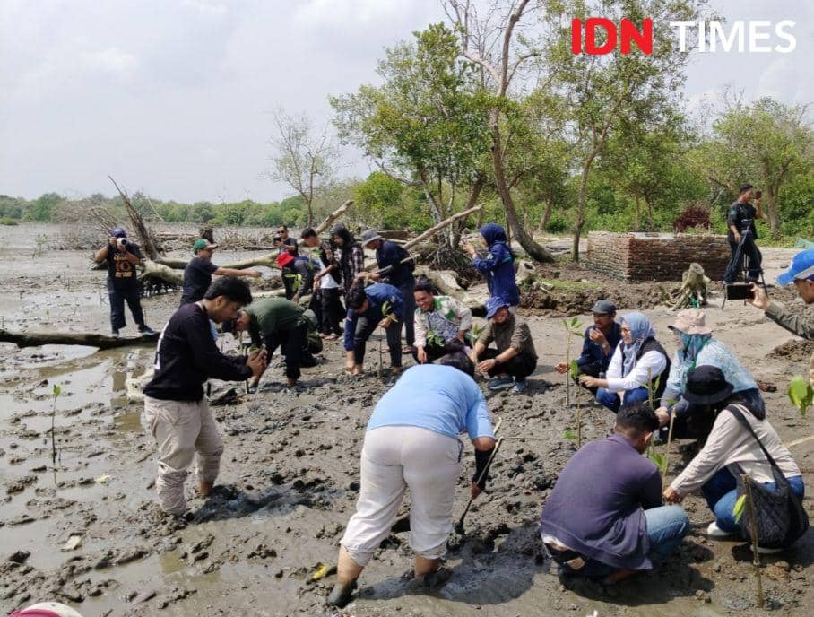 Komservasi Indonesia gandeng ratusan mahasiswa USU menanam mangrove (IDN Times/Eko Agus Herianto)