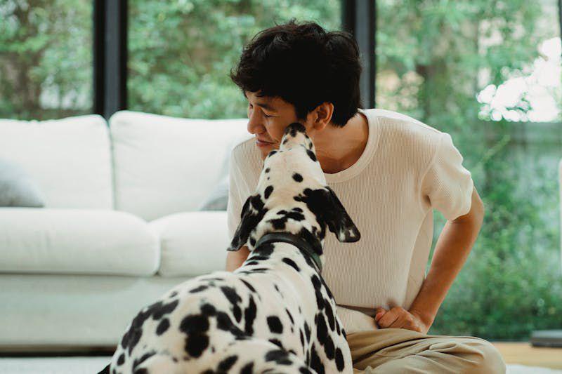 4 Penyebab Anjing Sulit Bersosialisasi, Kurang Dilatih!