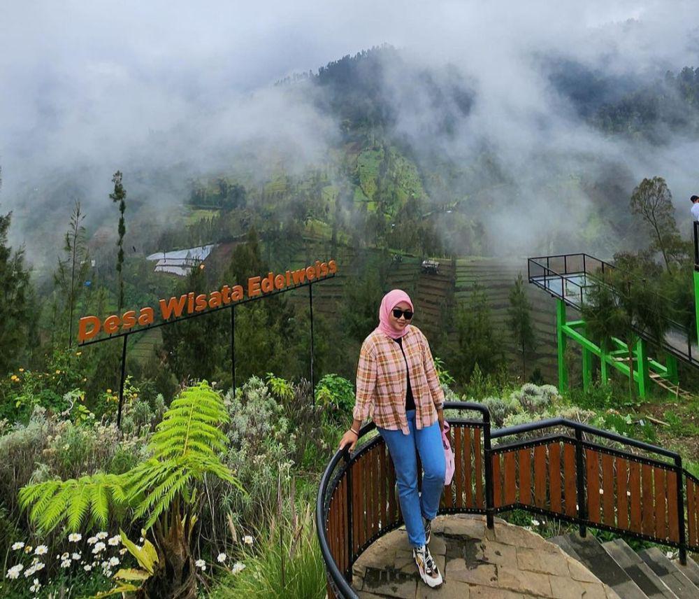 Desa Wisata Edelweiss Wonokitri: Lokasi, Harga Tiket Masuk, dan Rute