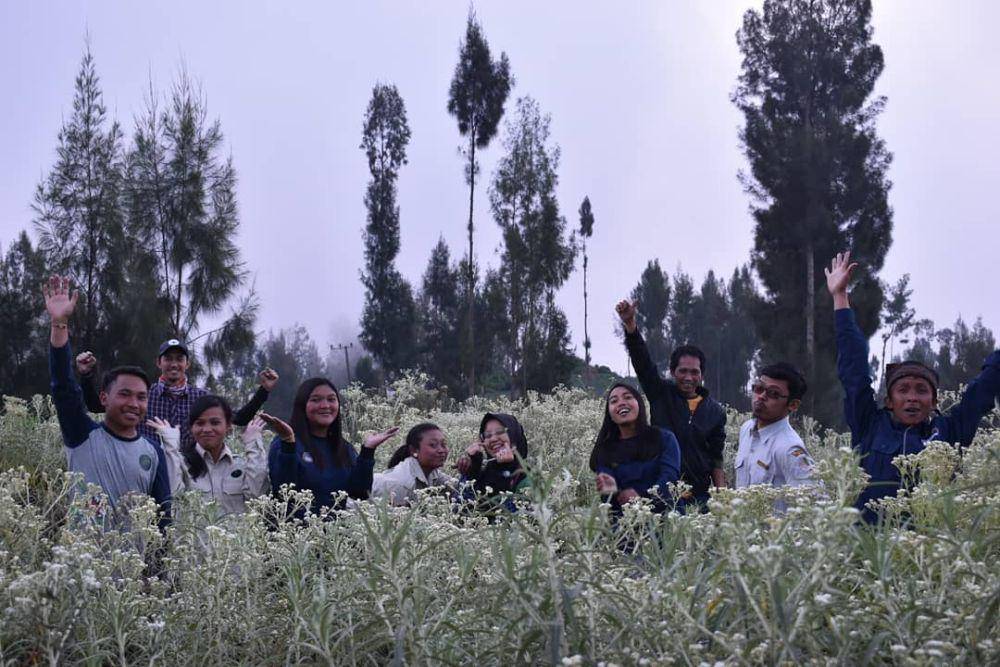 Taman Edelweiss Wonokitri (instagram.com/taman_edelweiss_bromo)