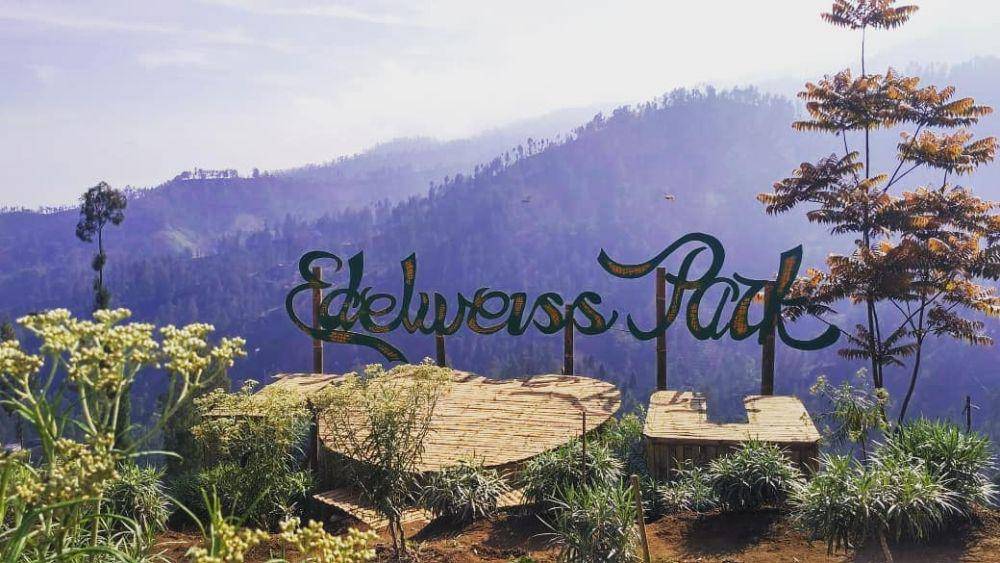 Taman Edelweiss (instagram.com/taman_edelweiss_bromo)