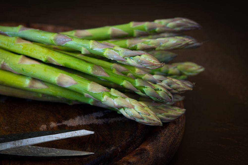 ilustrasi asparagus (pixabay.com/Pezibear)