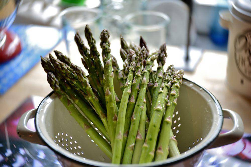 ilustrasi asparagus (pixabay.com/YvonneHuijbens)