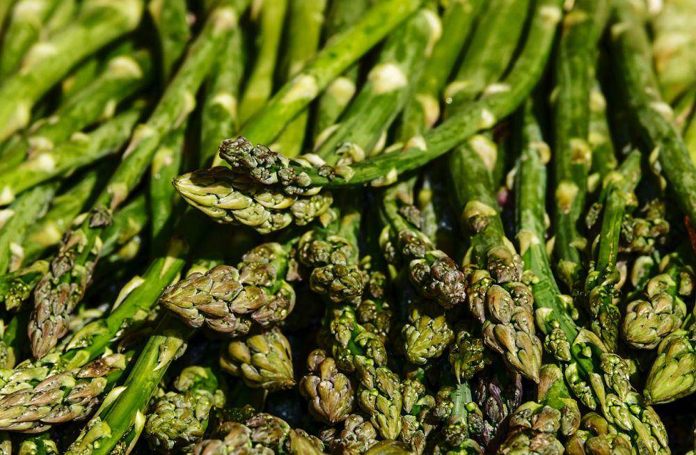 ilustrasi asparagus (pixabay.com/Couleur)