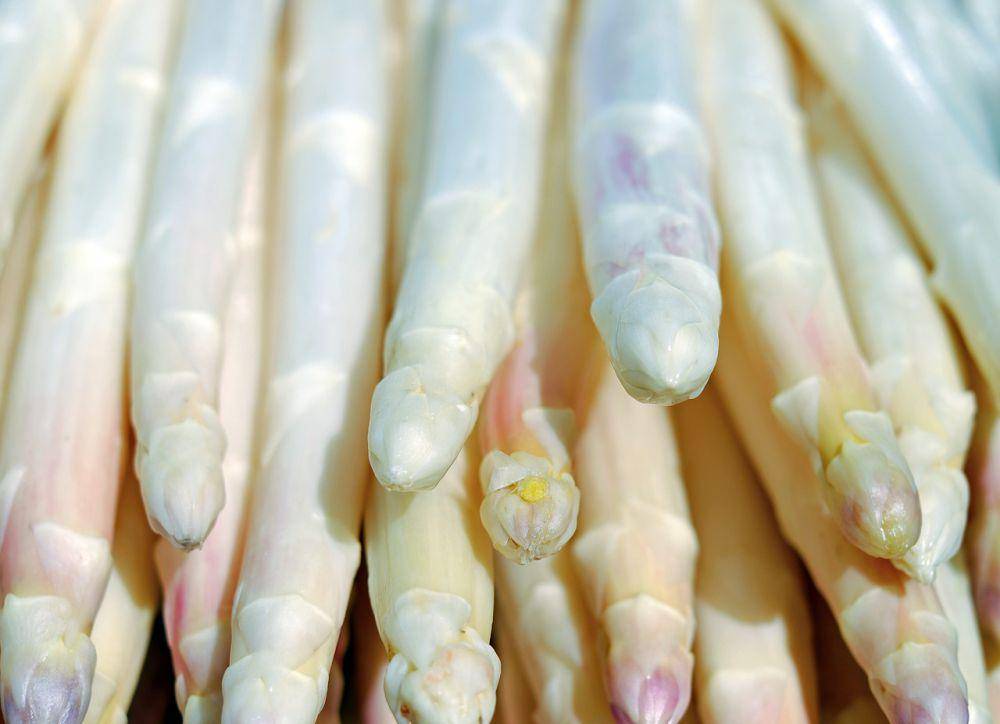ilustrasi asparagus (pixabay.com/Couleur)