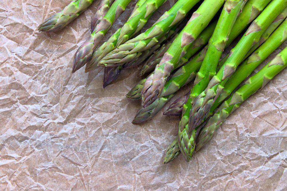 ilustrasi asparagus (pixabay.com/28366294)