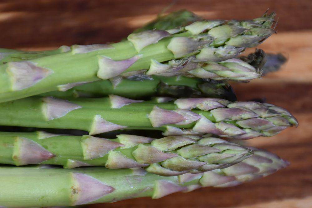 ilustrasi asparagus (pixabay.com/Ray_Shrewsberry)