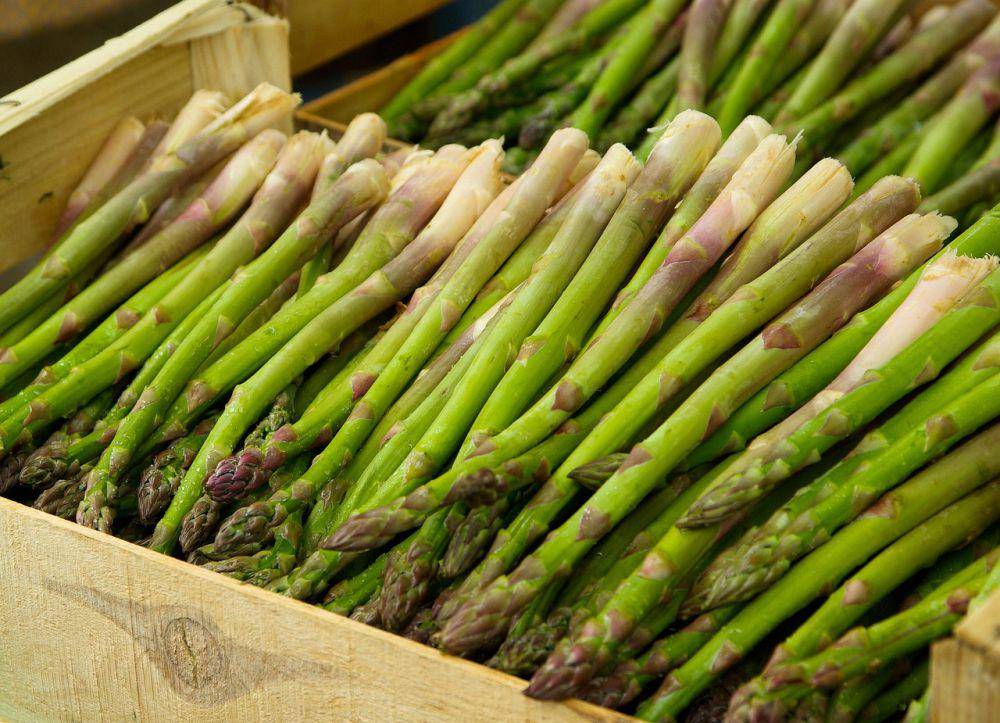 ilustrasi asparagus (pixabay.com/jackmac34)