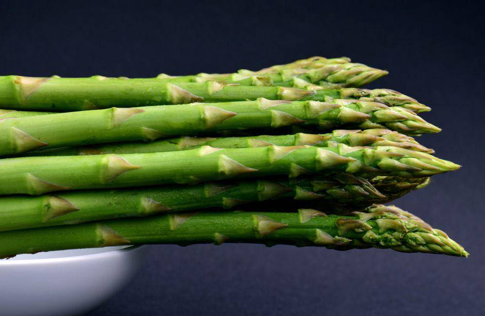 ilustrasi asparagus (pixabay.com/ulleo)