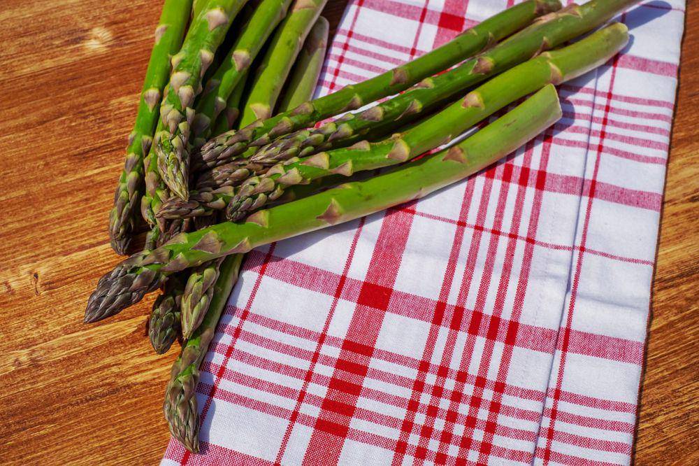 ilustrasi asparagus (pixabay.com/Couleur)
