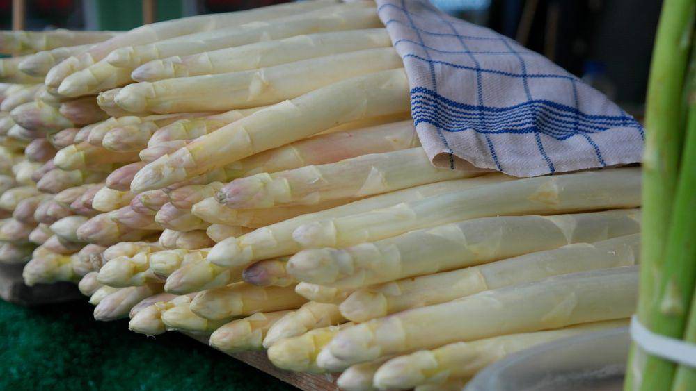 ilustrasi asparagus (pixabay.com/RitaE)