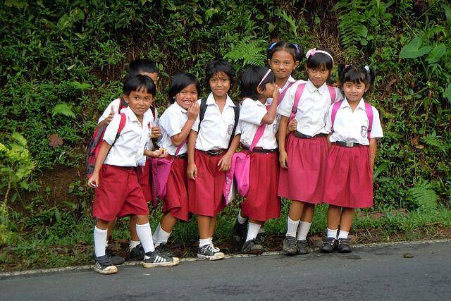 murid sekolah dasar Indonesia (Pixabay.com/Nico_Boersen)