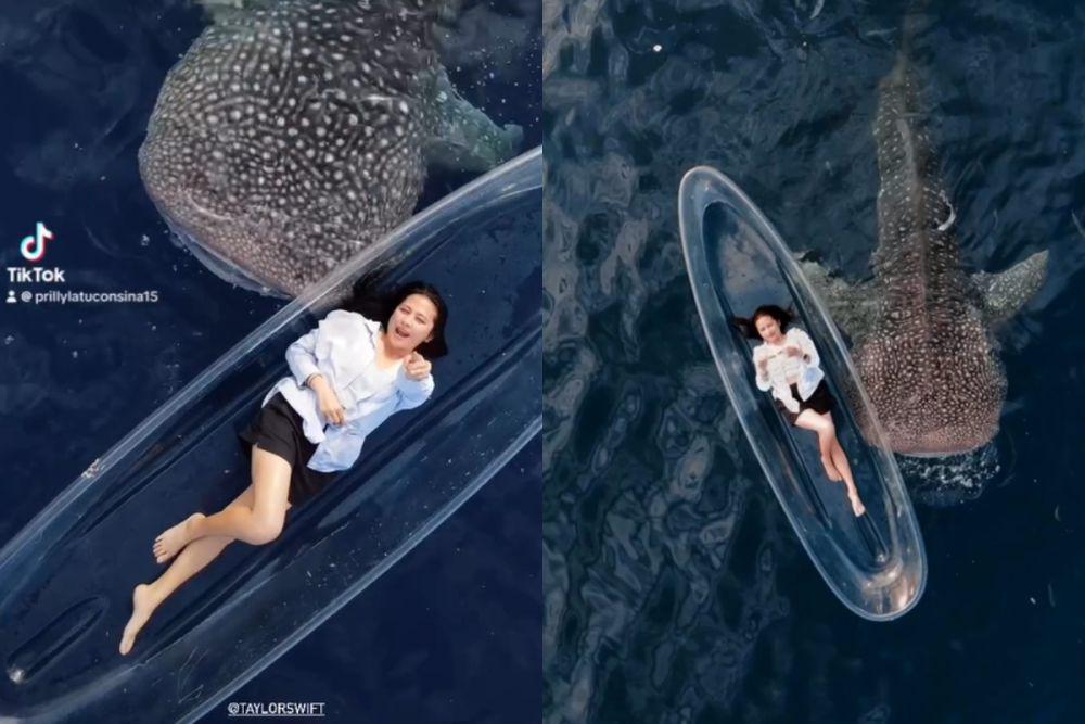 7 Potret Prilly Bersantai di Sampan Ditemani Hiu Paus