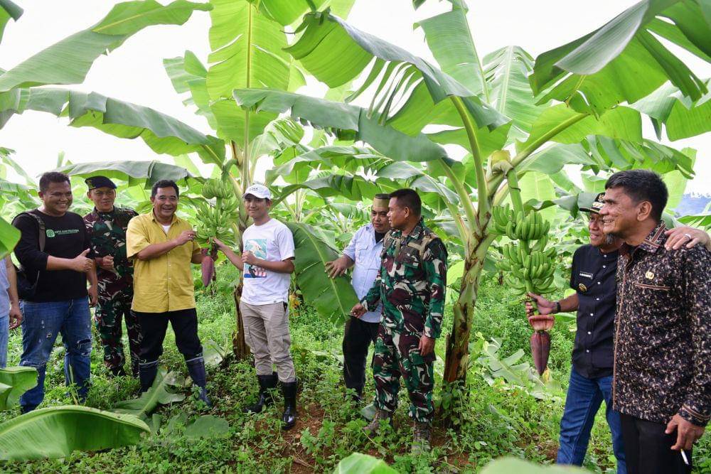 Proyek penanaman pisang cavendish di Sulawesi Selatan diinisiasi Pj Gubernur Bahtiar Baharuddin. (dok. Pemprov Sulsel)