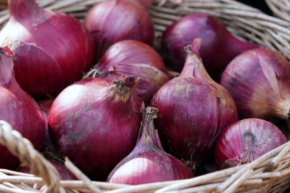 ilustrasi bawang merah (pixabay.com/matthiasboeckel)