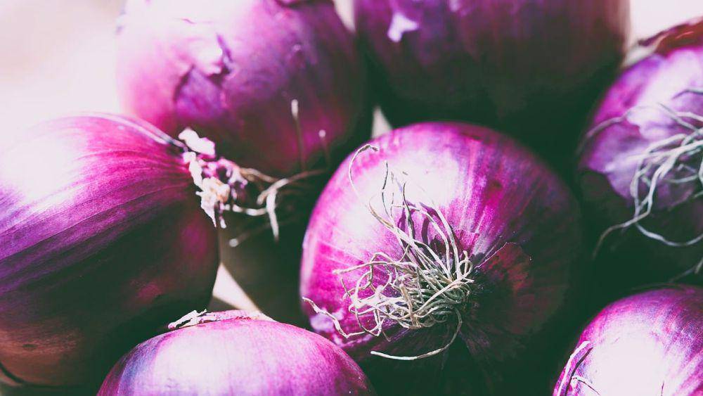 ilustrasi bawang merah (pixabay.com/Mylene2401)