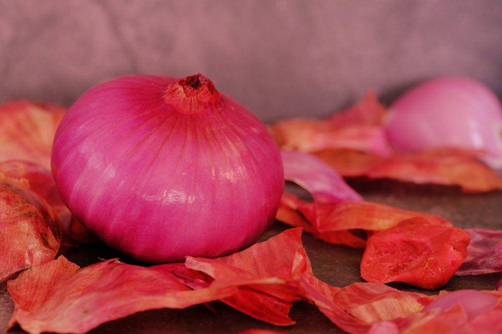 ilustrasi bawang merah (pixabay.com/ignartonosbg)