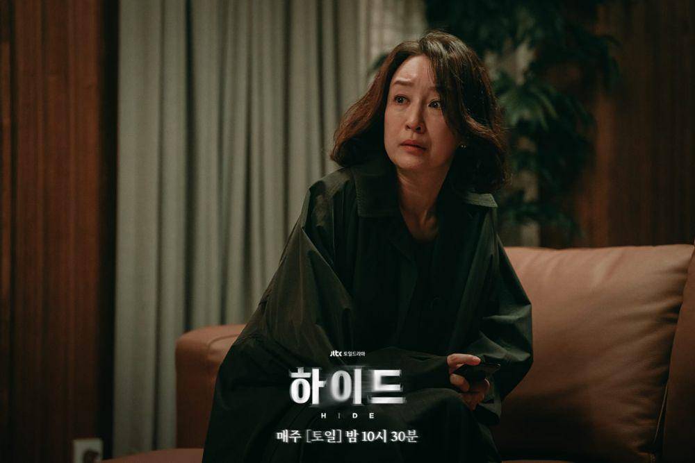 Nam Gi Ae di Hide (dok. JTBC/Hide)