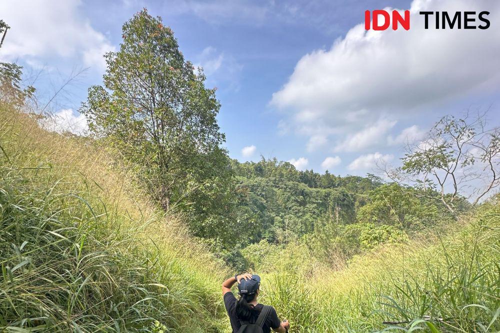 Tankaman: Hiking di Lereng Merapi dengan Pemandangan Ajaib