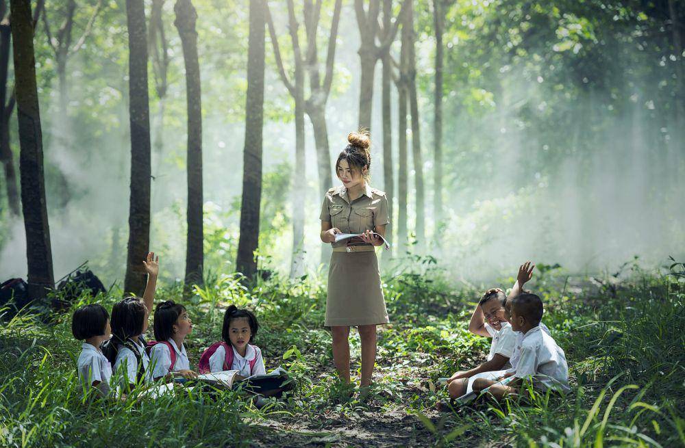 ilustrasi guru sedang mengajar murid di alam terbuka (pixabay.com/sasint)