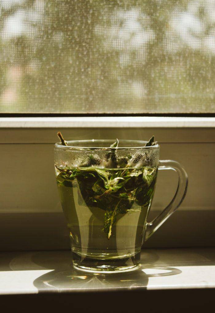 ilustrasi teh peppermint (unsplash.com/@thesollers)