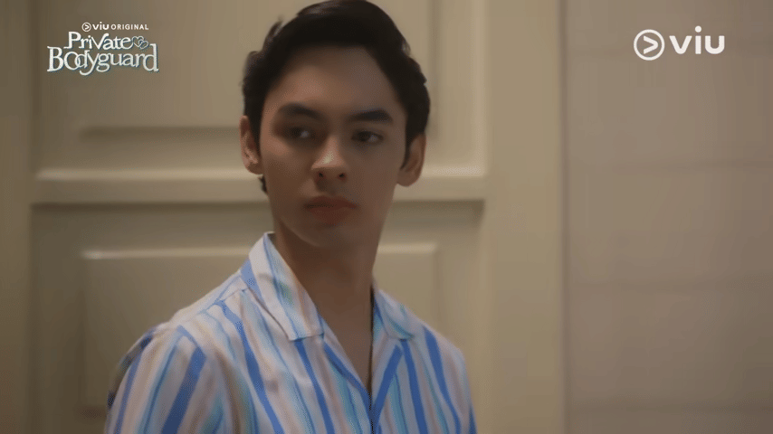 Private Bodyguard (dok. SinemArt / Private Bodyguard)