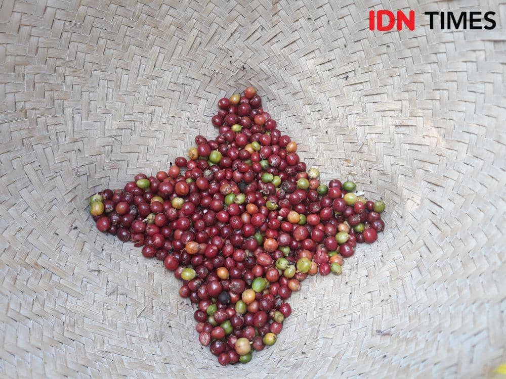 Ilustrasi kopi. (IDN Times/Indiana Malia)