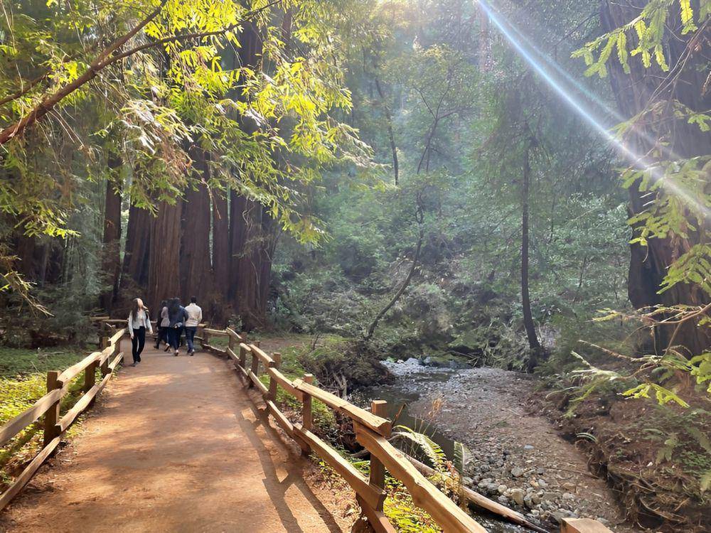 Muir Woods National Monument, San Fransisco-Amerika Serikat (google.com/maps/Apoorva Kandya)