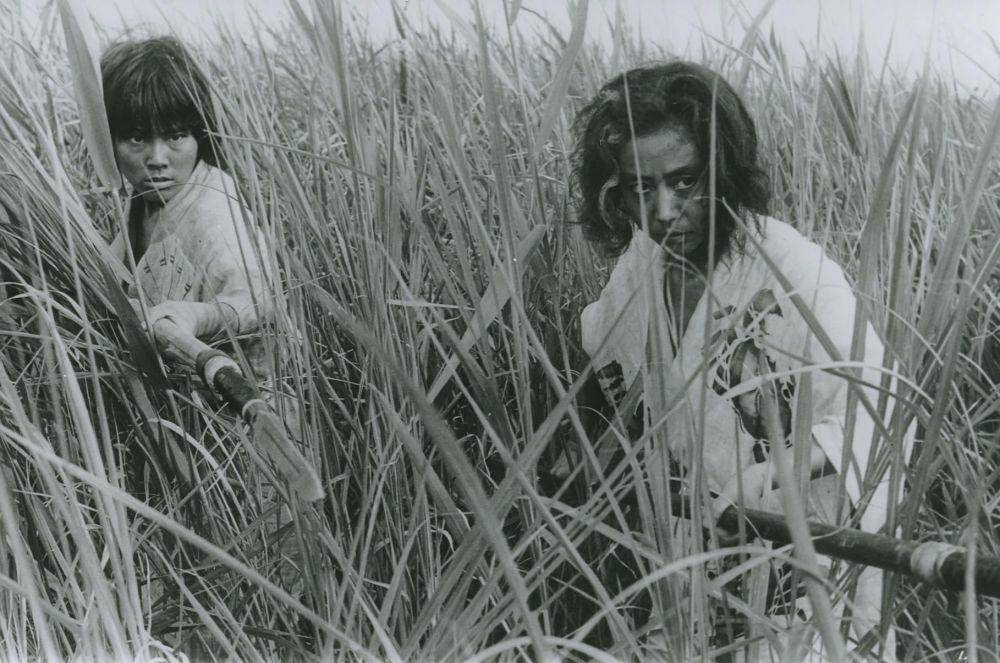 film Onibaba (dok. Toho Company/Onibaba)