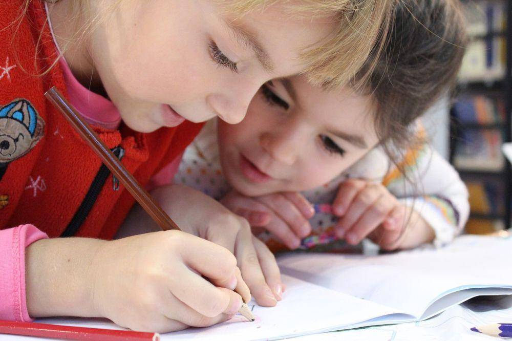 ilustrasi dua anak yang sedang belajar (pixabay.com/klimkin)