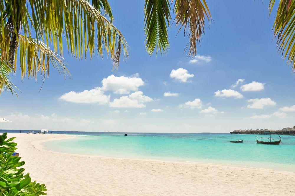 10 Pantai Terbaik Dunia 2024, Pink Beach di Indonesia Raih Peringkat 7