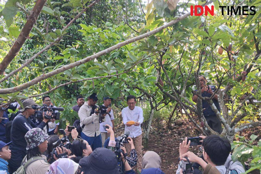 Perkebunan kakao dan Omah Kakao. (IDN Times/Trio Hamdani)