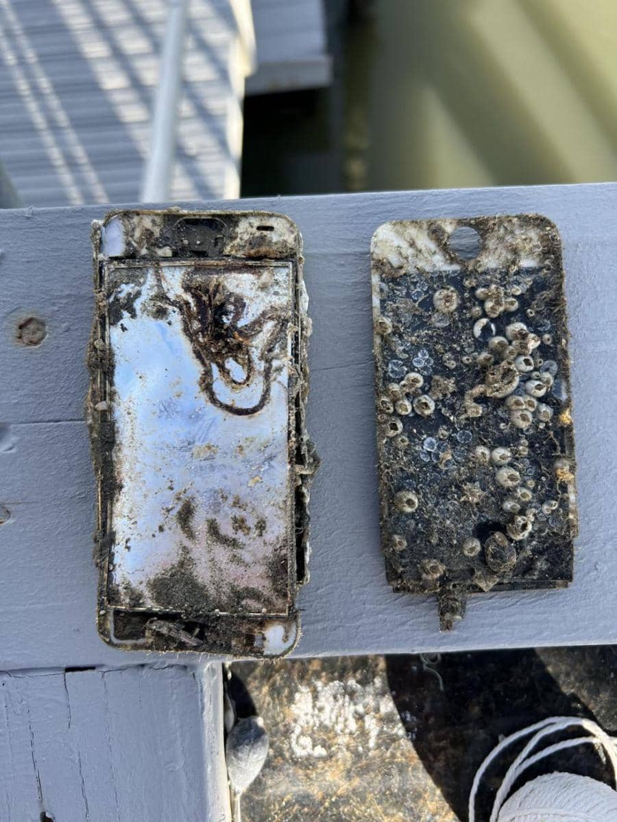 potret tangkapan aneh saat memancing (reddit.com/user/andytcook)