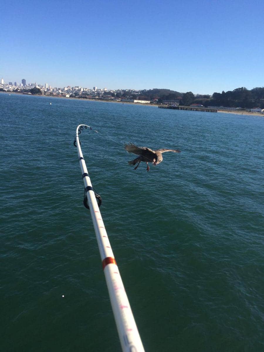 potret tangkapan aneh saat memancing (reddit.com/r/mildlyinteresting)