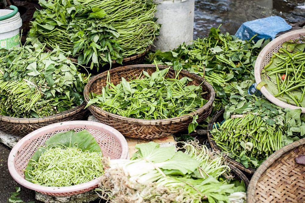 ilustrasi kangkung (pixabay.com/Pexels)