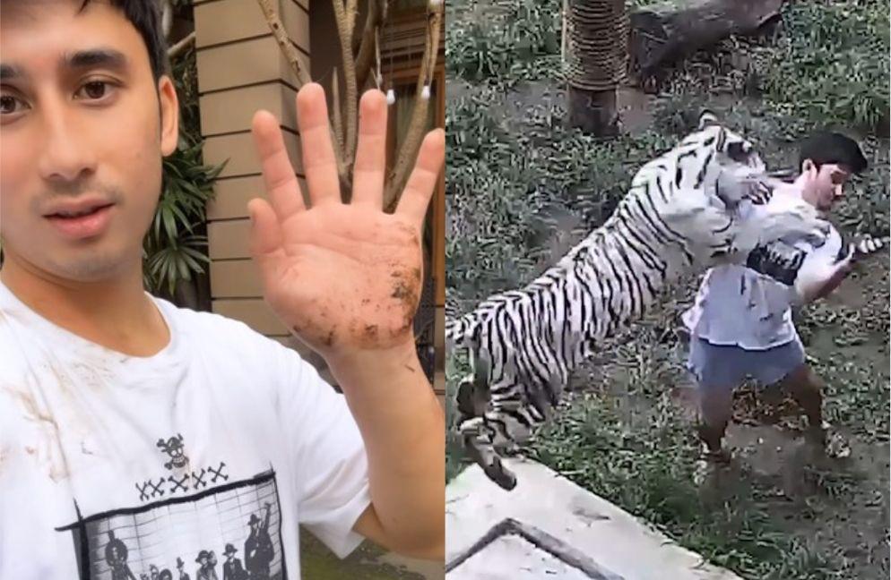 Potret Detik-detik Alshad Ahmad Jatuh saat Main Bersama Harimau, Ngeri
