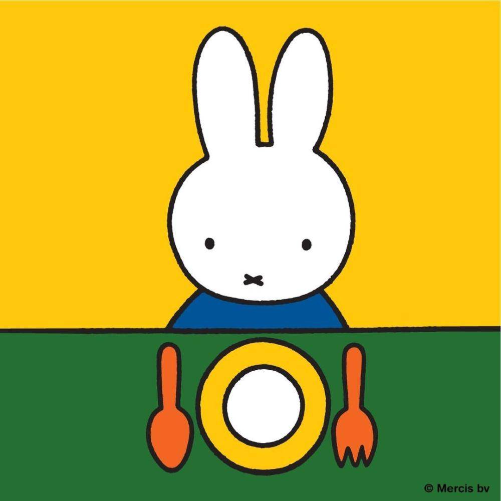 Miffy (instagram.com/miffy_official)