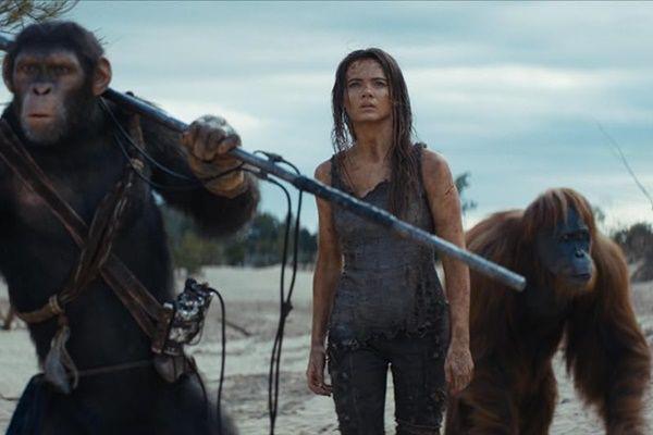 Urutan Nonton Film Sebelum Kingdom of the Planet of the Apes