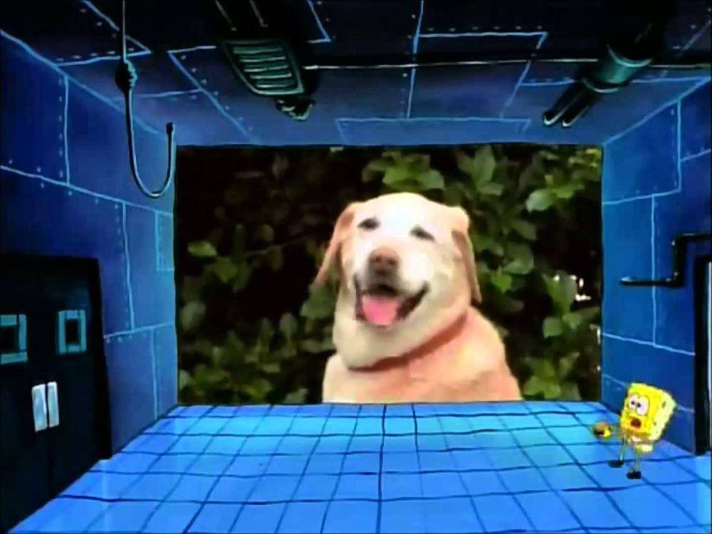 (Dok. Nickelodeon/SpongeBob SquarePants)