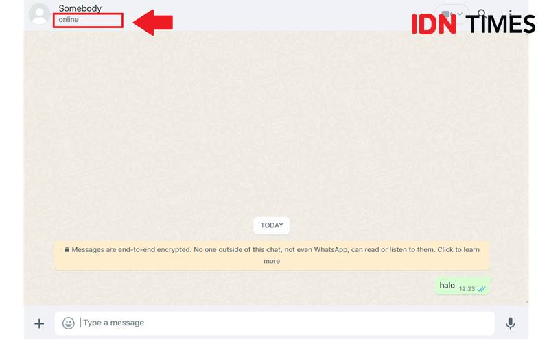 ilustrasi status online pada WhatsApp (IDN Times/Uswatun Khasanah)