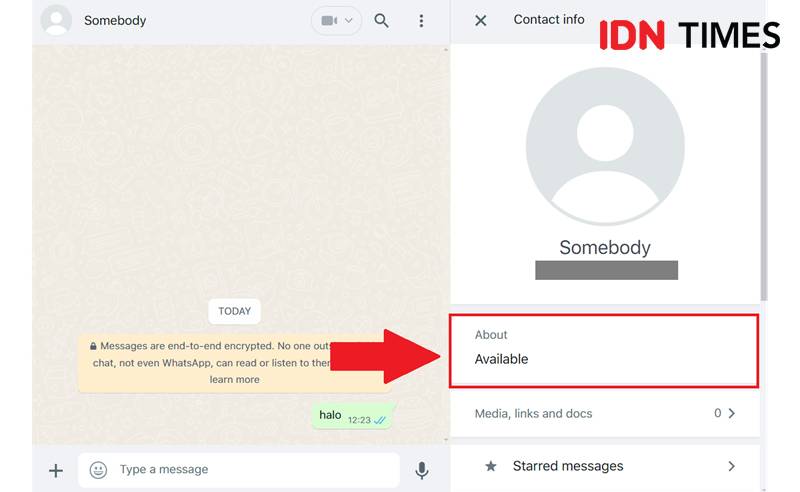 ilustrasi info kontak (IDN Times/Uswatun Khasanah)