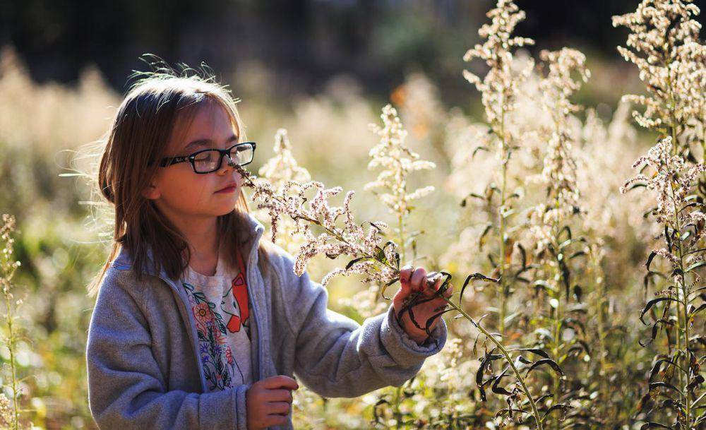 ilustrasi anak menghirup aroma tumbuhan (pexels.com/Michael Morse)