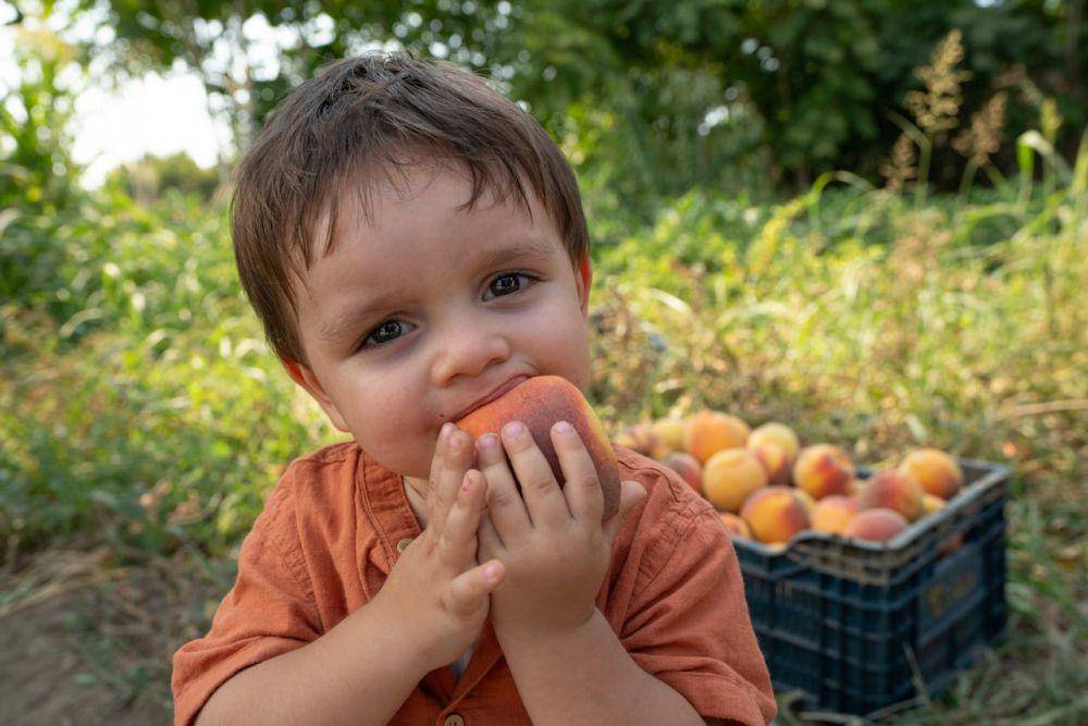 ilustrasi anak makan buah (pexels.com/FURKAN GÜNEŞ)