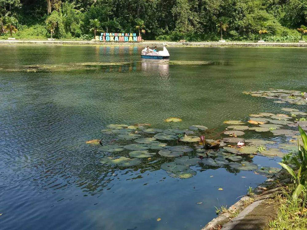 potret wahana perahu bebek di Pemandian Alam Selokambang (instagram.com/nur_bundnana)
