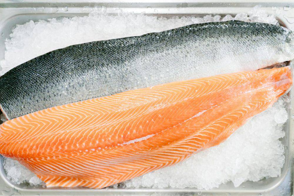 ilustrasi salmon (pexels.com/Deane Bayas)