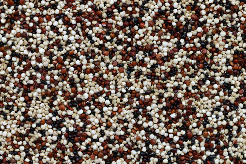 ilustrasi quinoa (unsplash.com/Pierre Bamin)