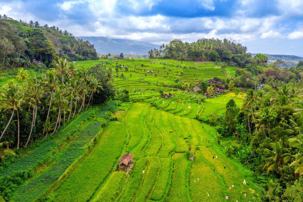 Indonesia Punya 8 Kota Terbersih! Kamu Sudah Tahu Ada Balikpapan lho!