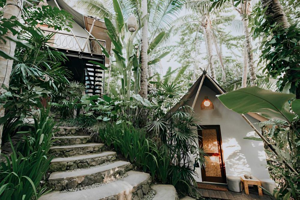 Ubud Tropical Glamping Bali: Lokasi, Harga, dan Tips Menginap