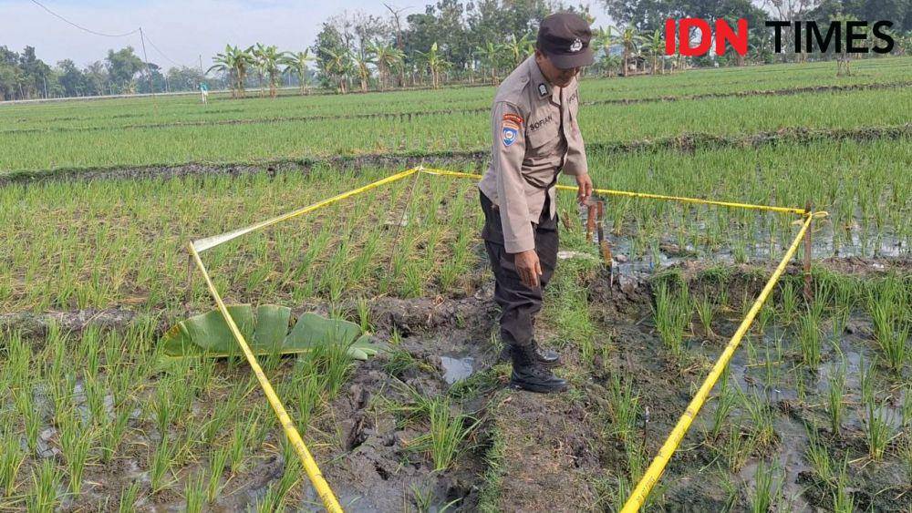 Seorang buruh tani di desa Tawun kecamatan Kasreman Ngawi ditemukan tewas tersengat jebakan tikus beraliran listrik. IDN Times/ Riyanto