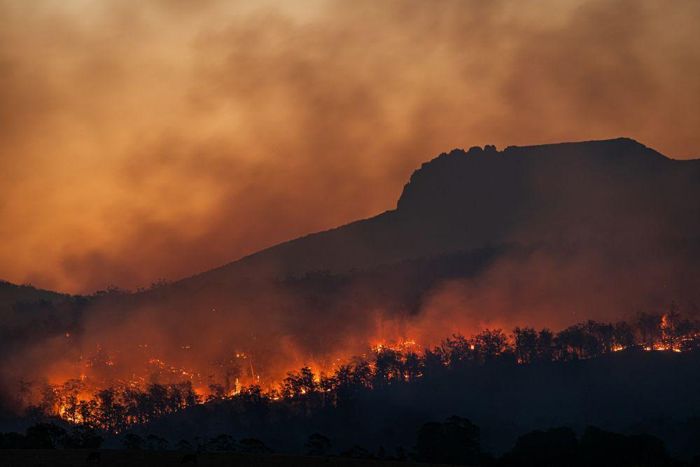 Kebakaran Hanguskan California Utara, 350 Ribu Hektare Hangus!